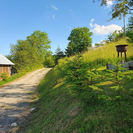Cabana Valea Lui Mas Robaia 외부 사진