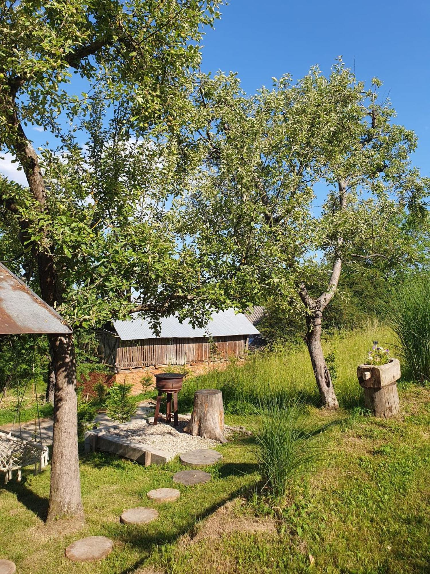 Cabana Valea Lui Mas Robaia 외부 사진
