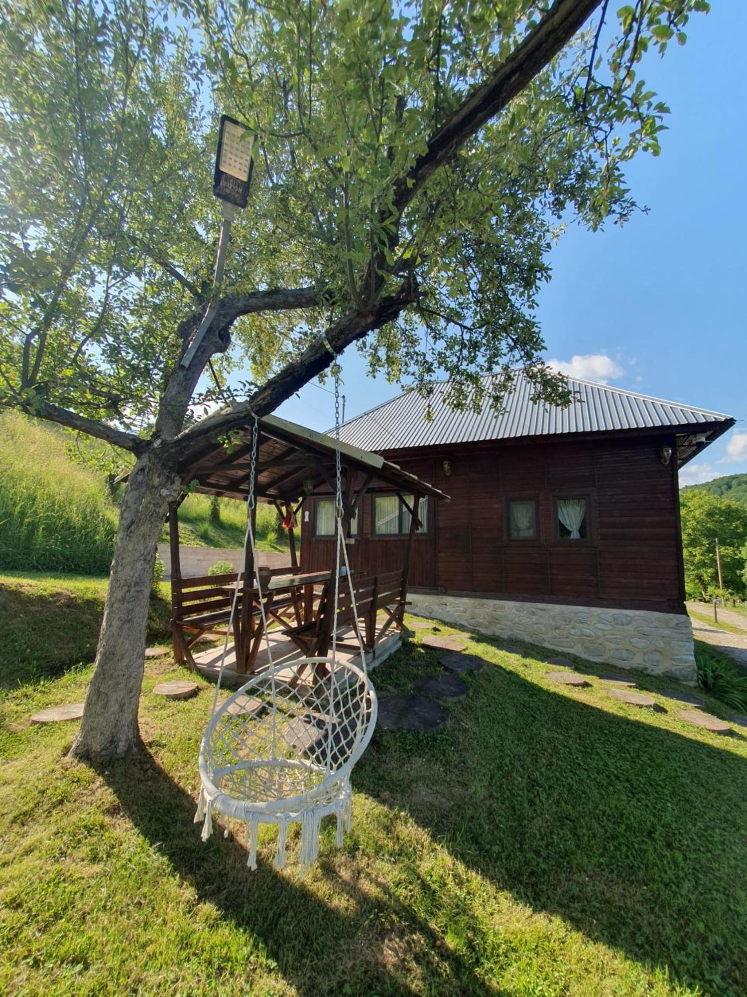 Cabana Valea Lui Mas Robaia 외부 사진