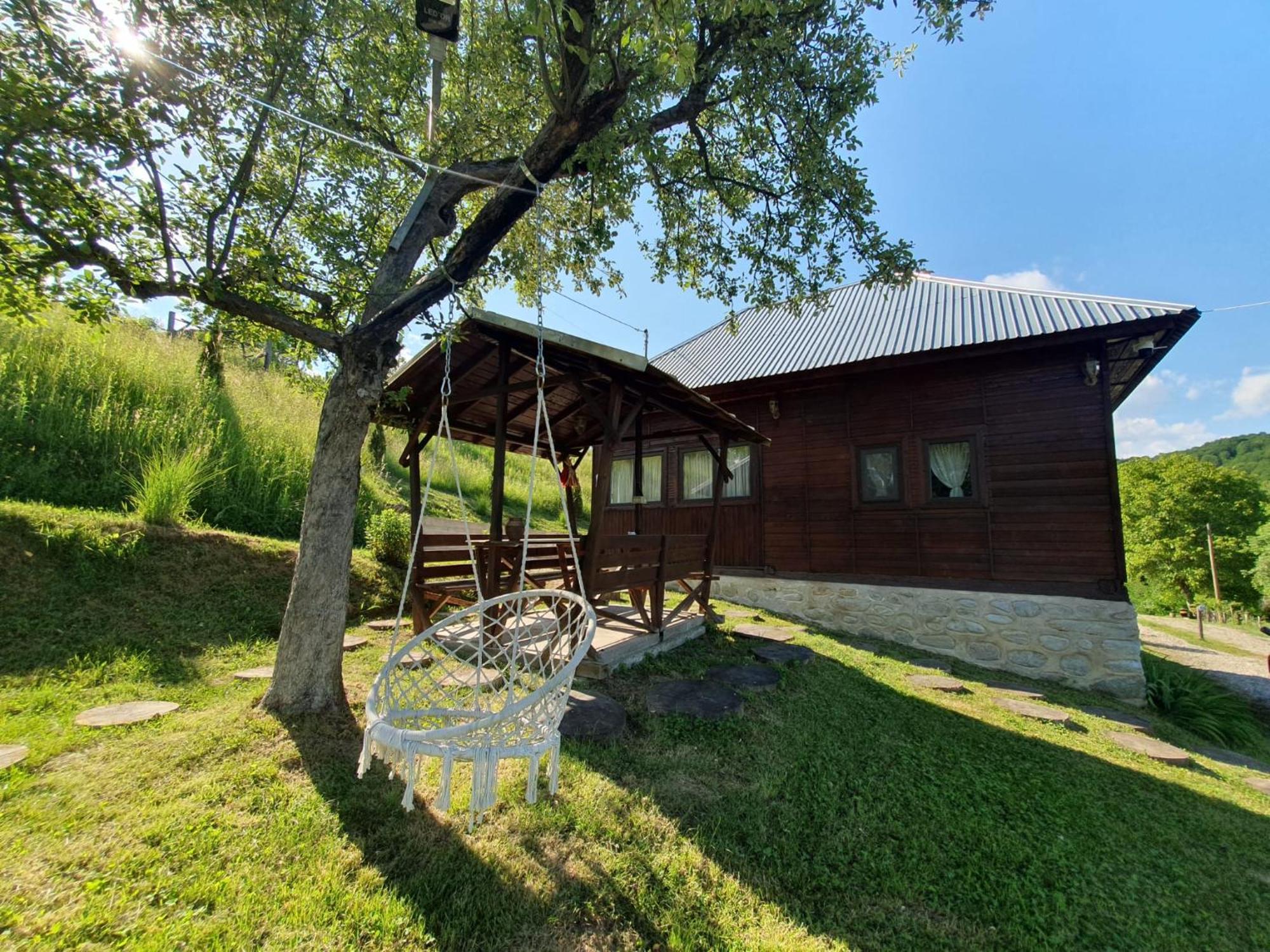 Cabana Valea Lui Mas Robaia 외부 사진