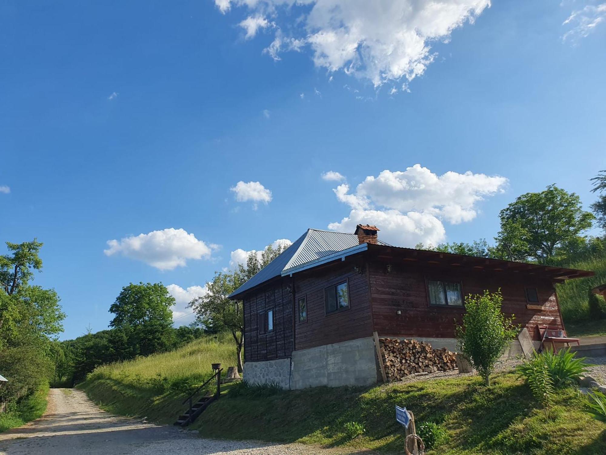 Cabana Valea Lui Mas Robaia 외부 사진